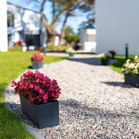 In Near Sandy 普斯科沃